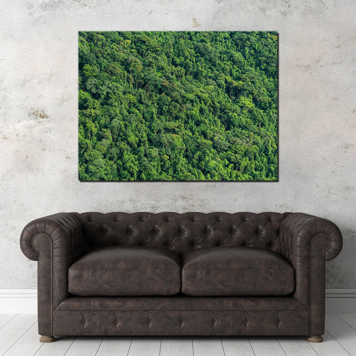 Stunning Atlantic Forest Wall Art by Sofia Leite Fonseca