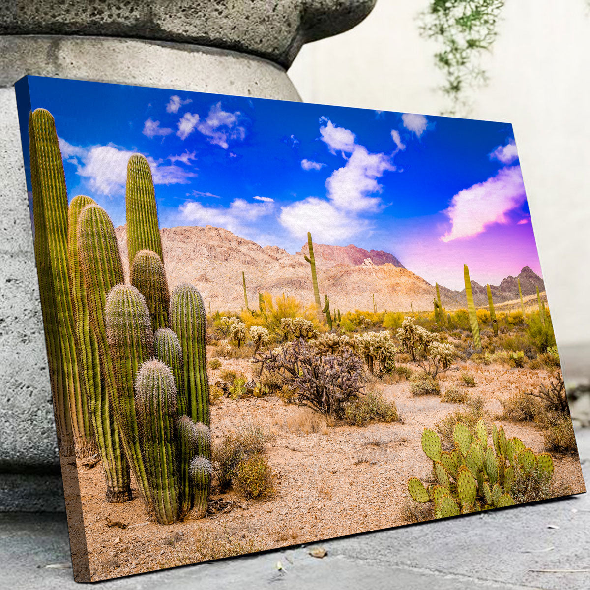 Gorgeous Arizona Desert Springtime Wall Art for Stunning Home Decor