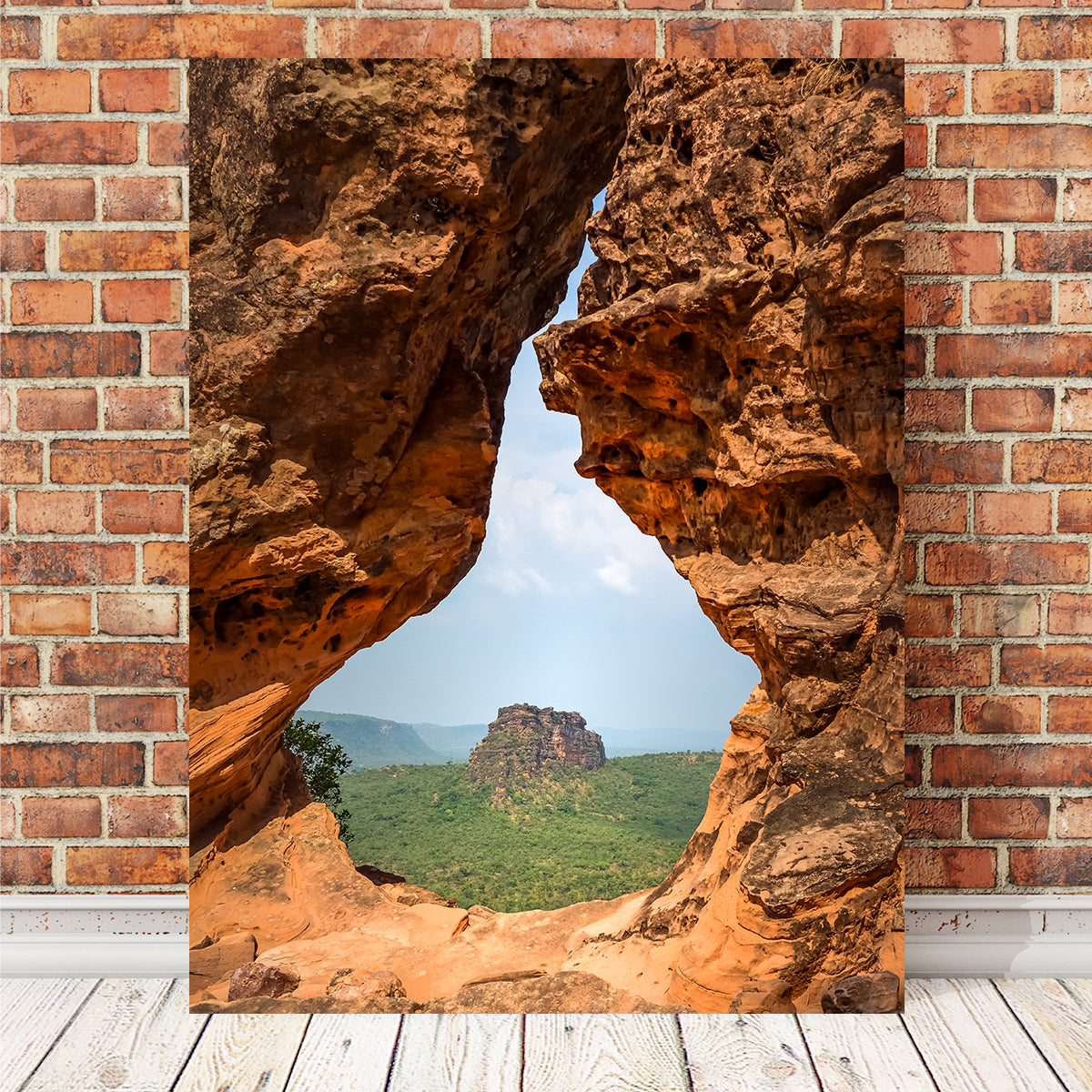 Exquisite Portal to Cerrado Wall Art by Sofia Leite Fonseca