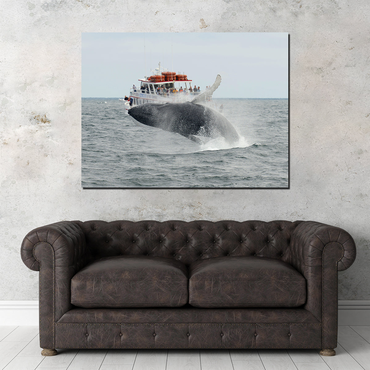 Stunning Humpback - Cape Cod Wall Art for Your Home Decor