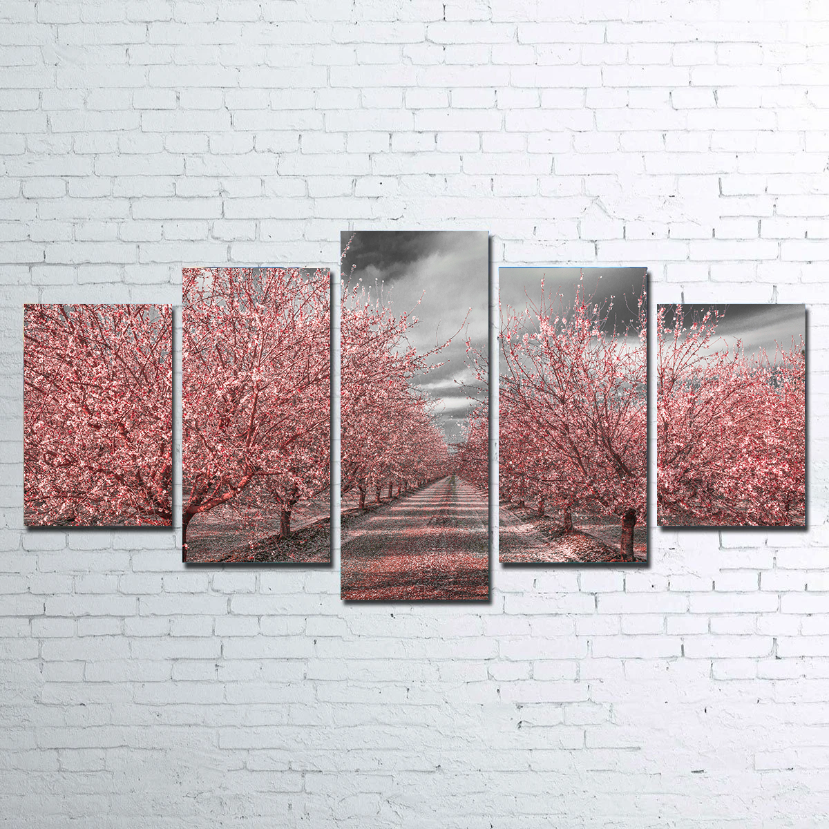 Stunning California Pink Blossoms Wall Art for Your Home Decor