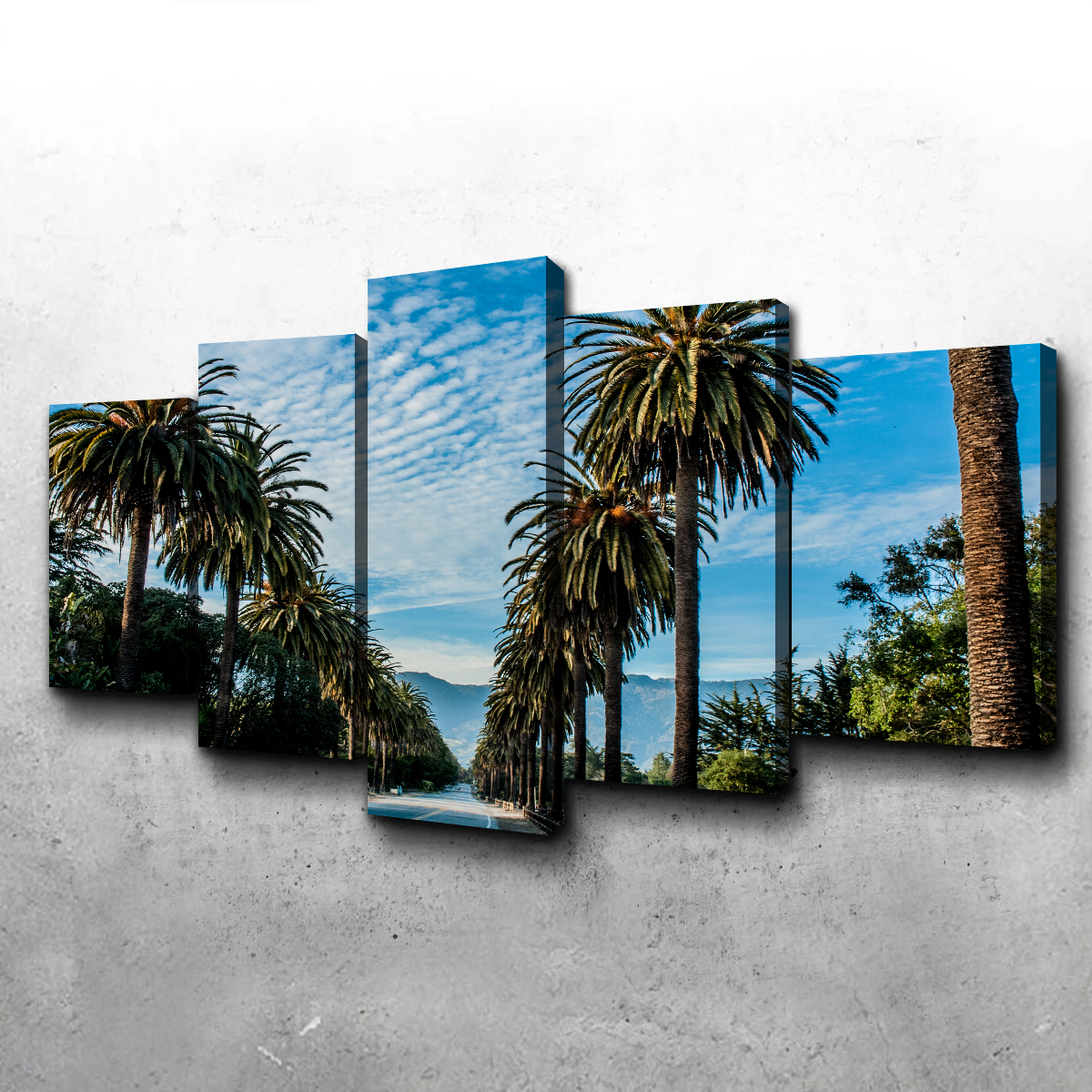Hope Ranch Palm Drive Exquisite Wall Art by Kyle Sherry