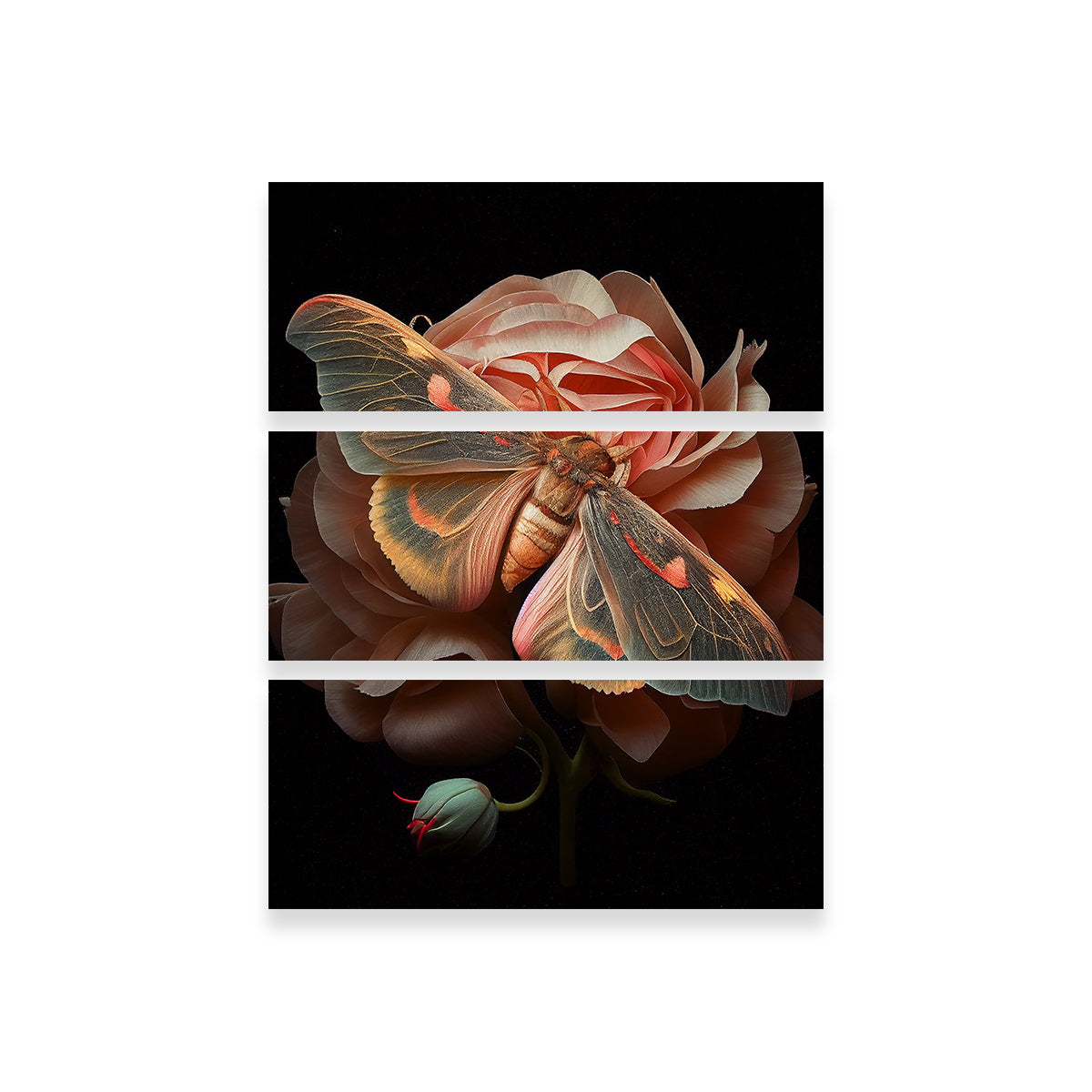 Stunning Pink Moth and Rose Wall Art by Jennifer Hotai
