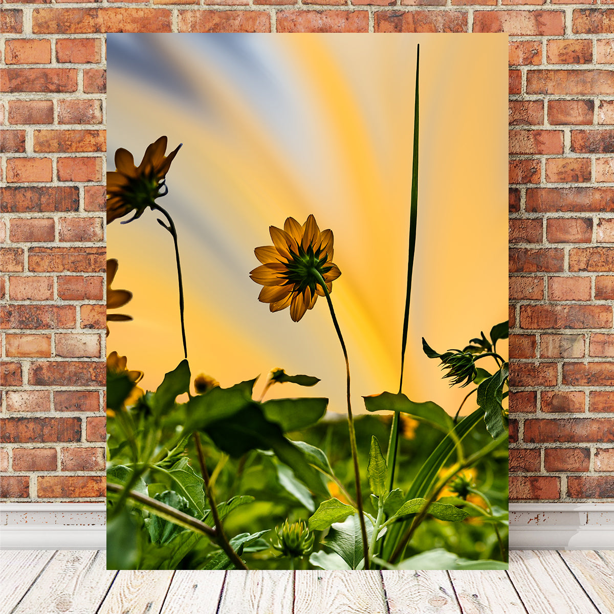 Stunning Beach Sunflowers Wall Art by Eileen Rollin