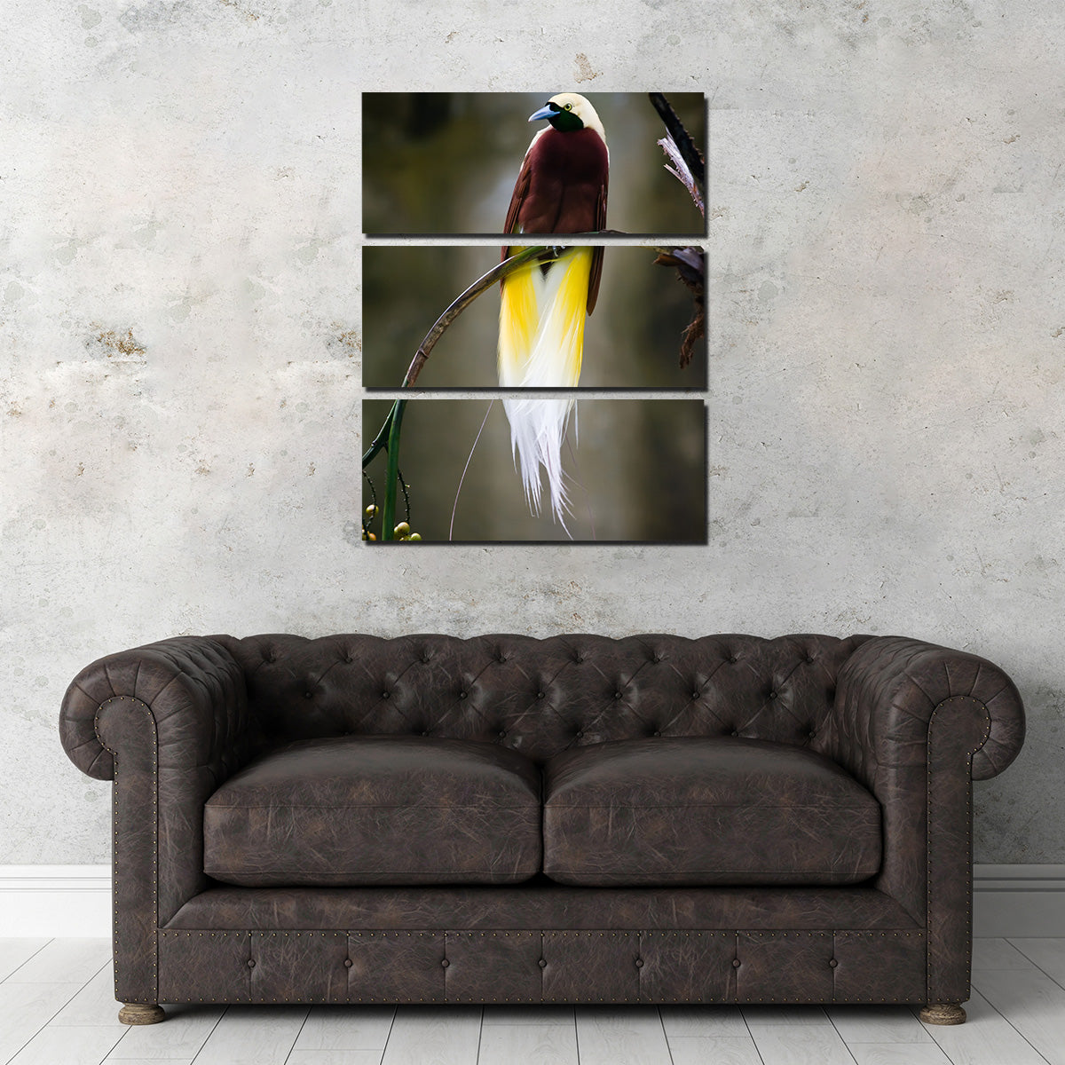 Exquisite Cenderawasih Wall Art for Stunning Home Decor