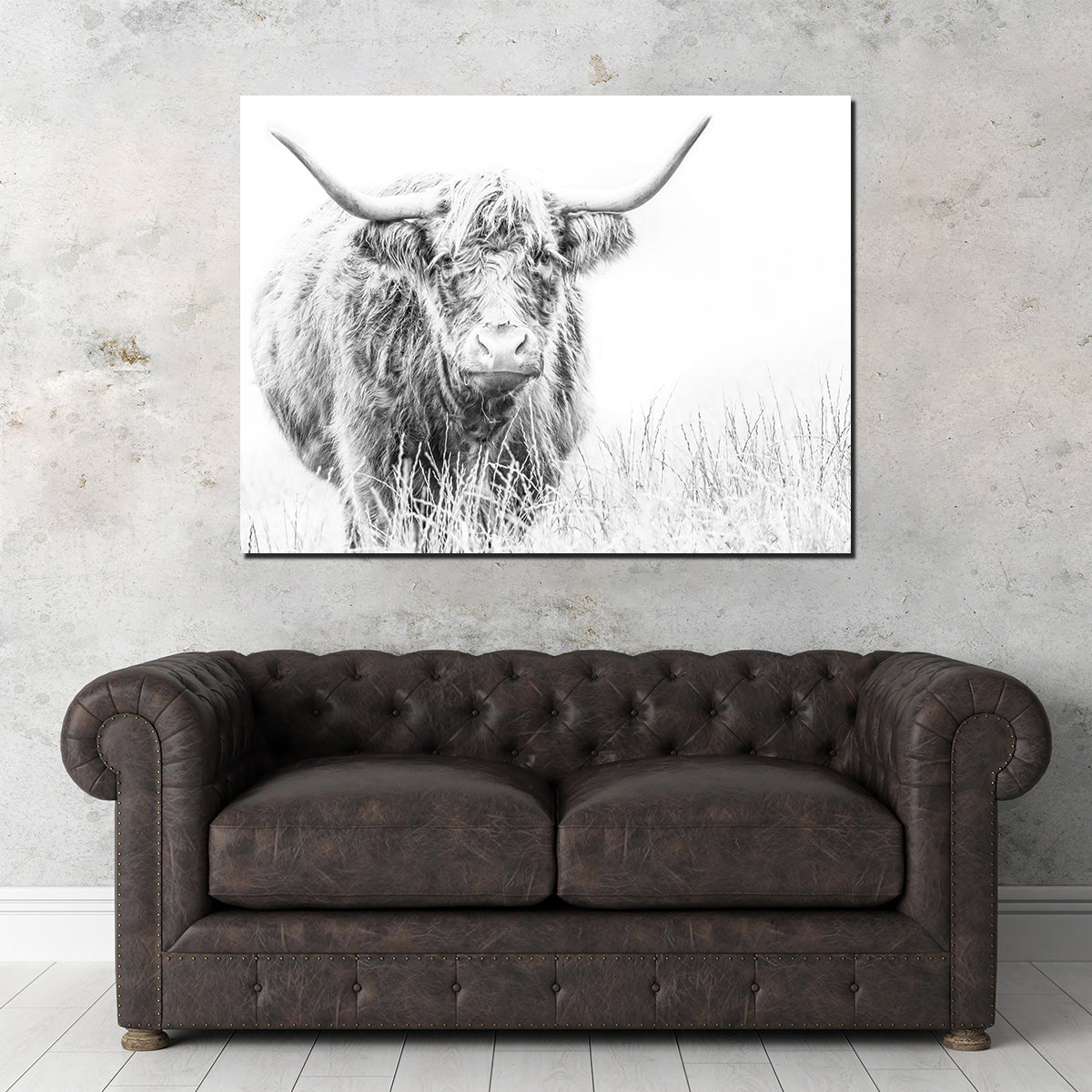 Stunning Highland Cow Wall Art on White Canvas