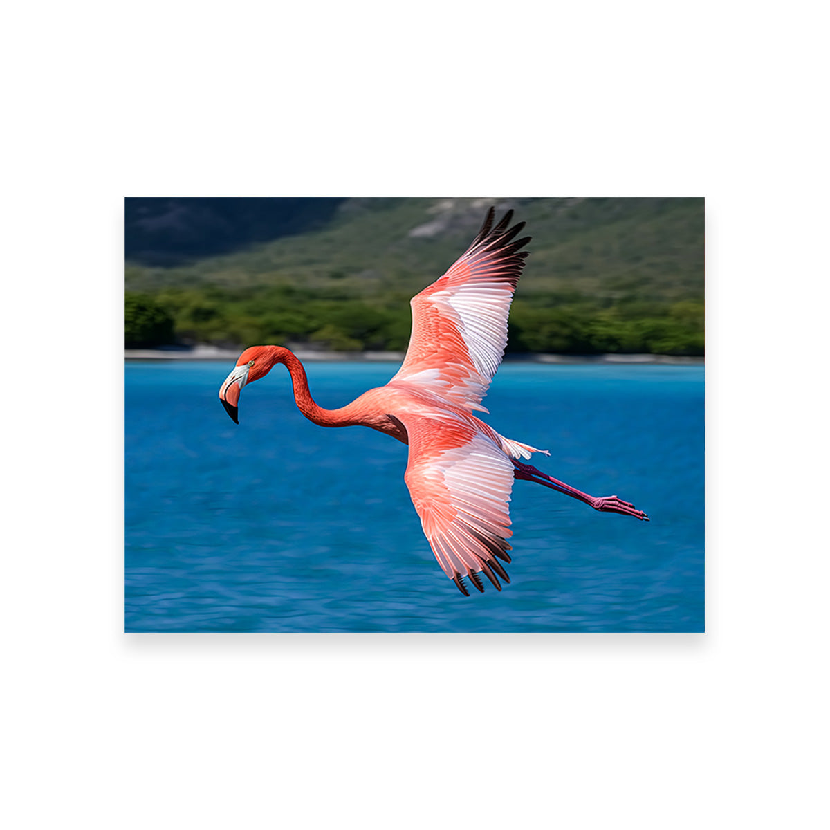 Stunning Pink Flamingo Flying Wall Art for Home Decor