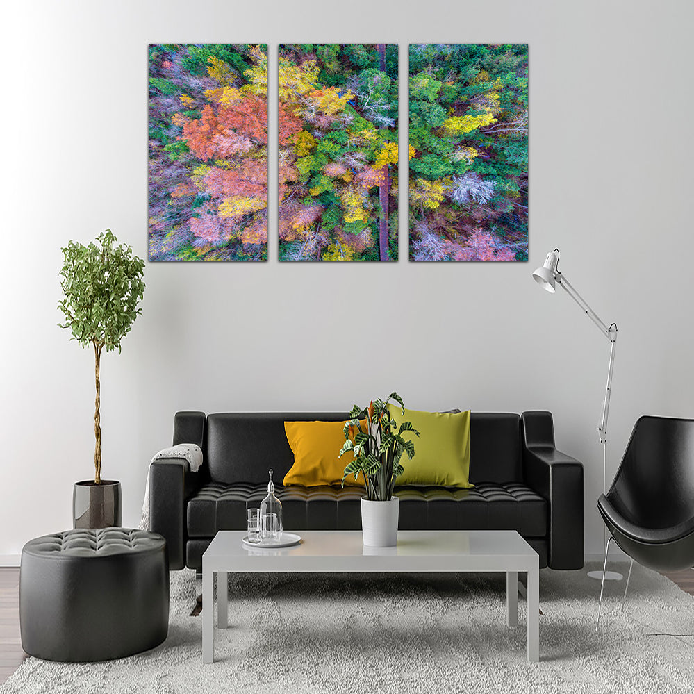 Stunning Bayfront Park Nature Boardwalk Wall Art from Above