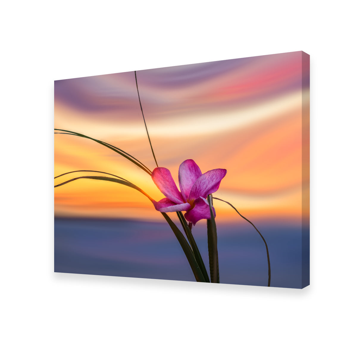 Stunning 'She Loves Me' Wall Art by Eileen Rollin
