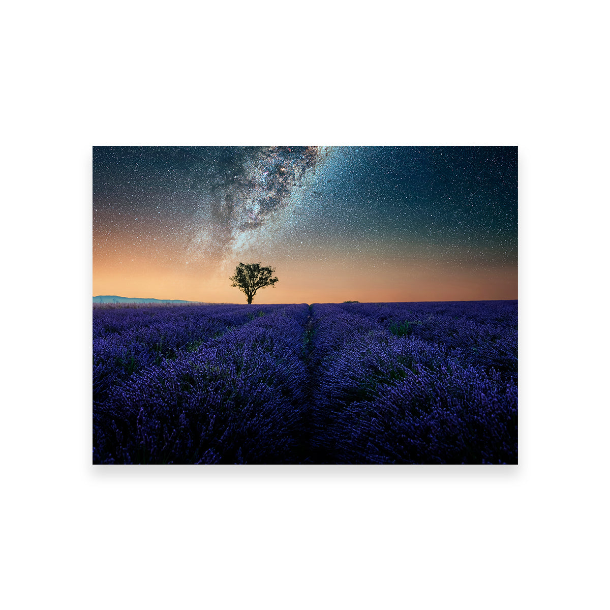 Enchanting Night in Provence Wall Art for Your Home Decor