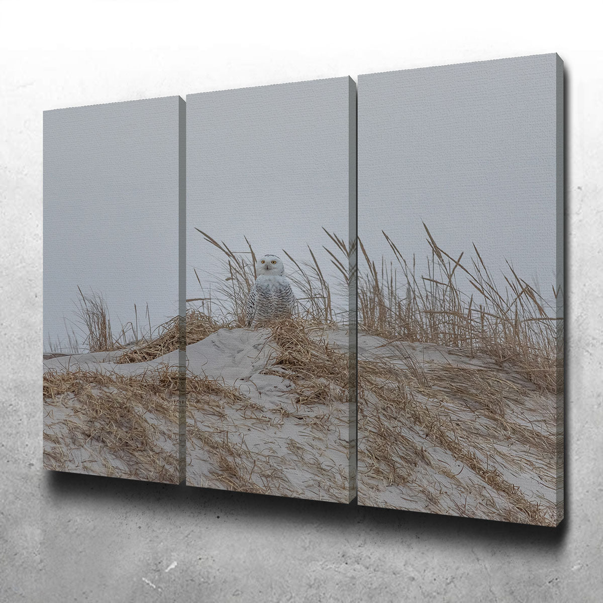 Exquisite Snowy Owl Wall Art by Dennis Maida