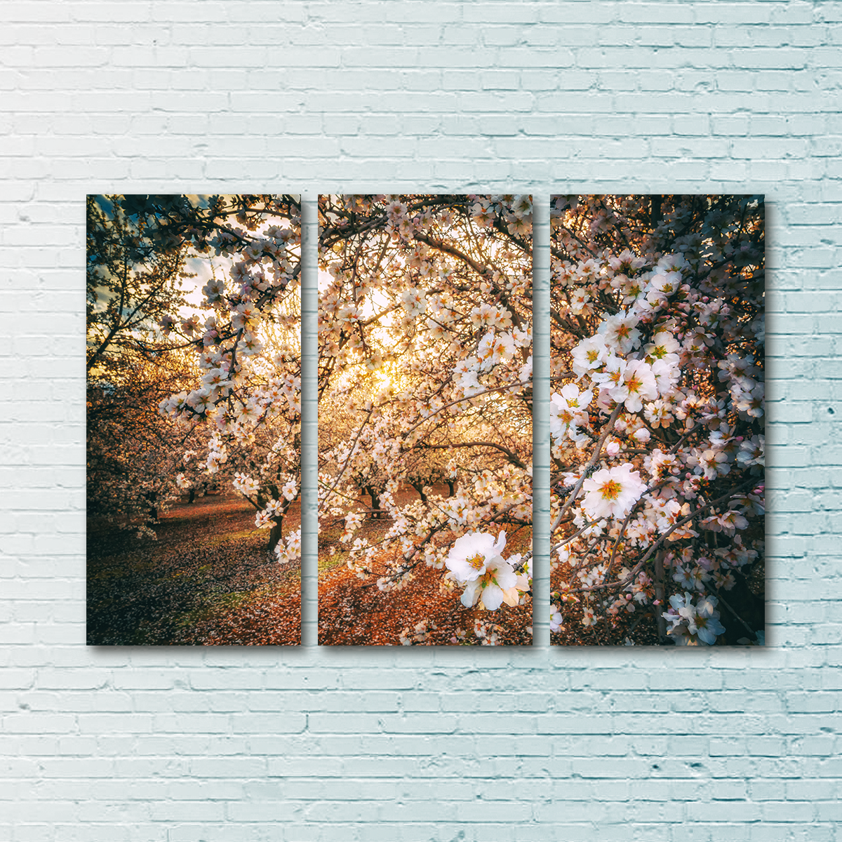 Stunning California Blossom Trail Wall Art for Your Home Decor