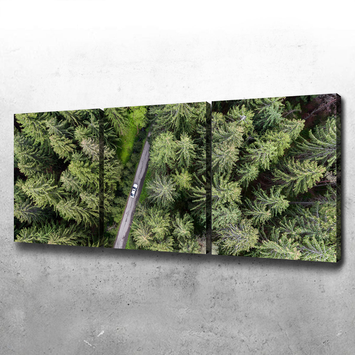 Stunning Hidden Road Wall Art by Karolis Janulis