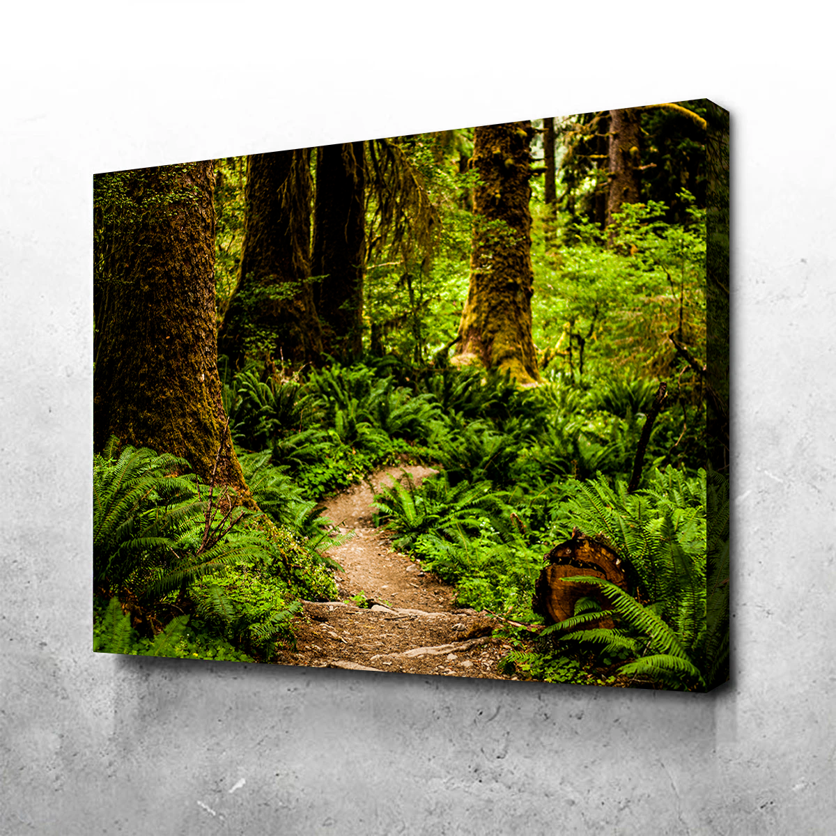 Stunning Hoh Rainforest Wall Art by Kyle Sherry