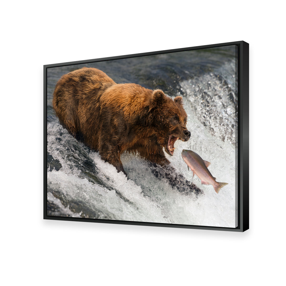 Exquisite Bear Catching Salmon Wall Art for Stunning Home Decor