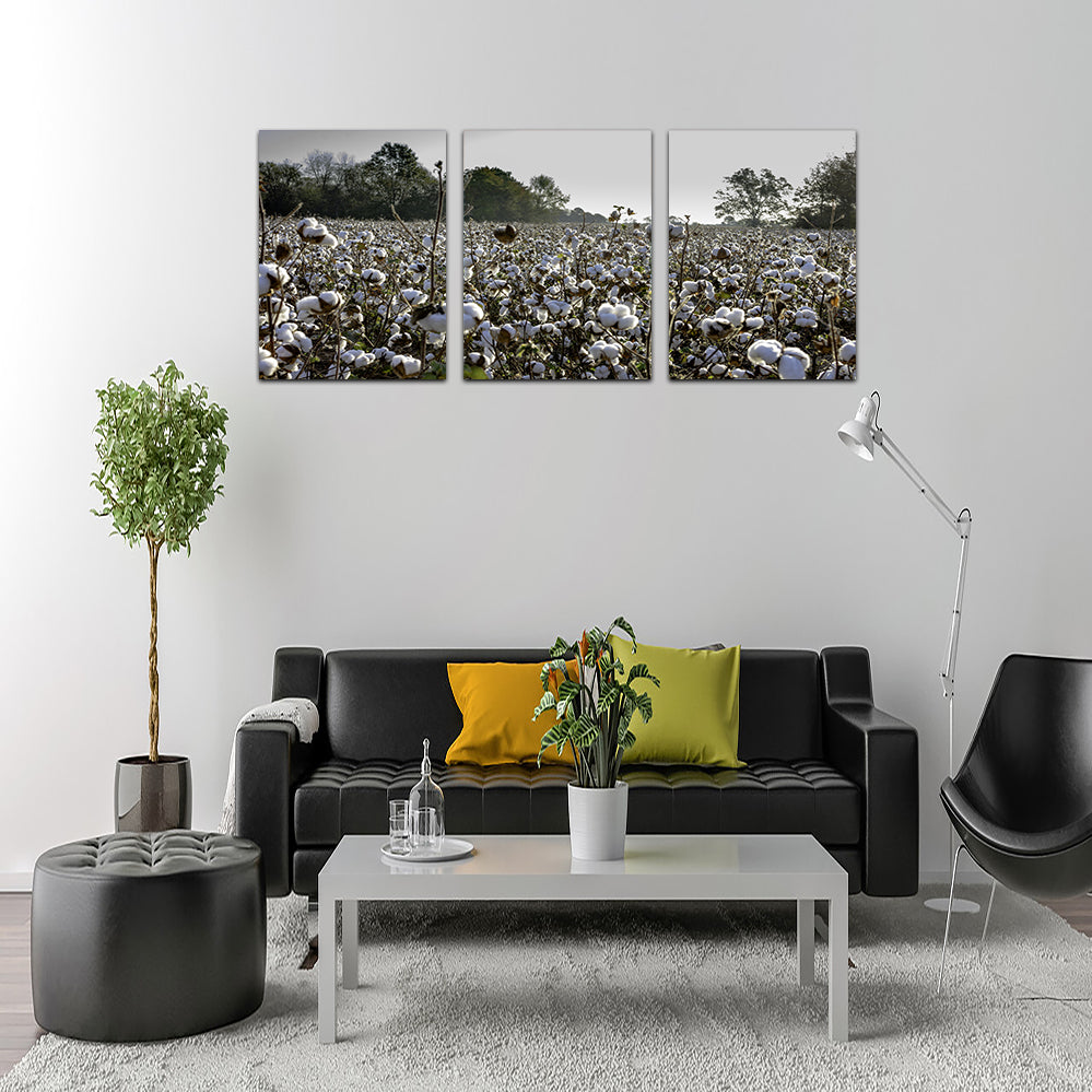 Stunning Alabama Cotton Field Wall Art for Your Home Decor