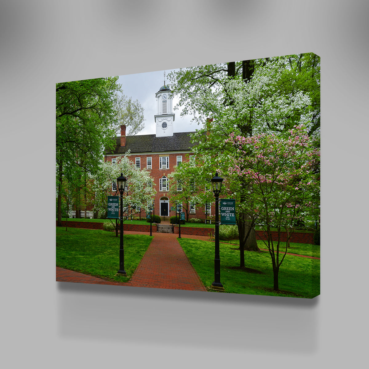 Exquisite Ohio University Wall Art for Home Decor