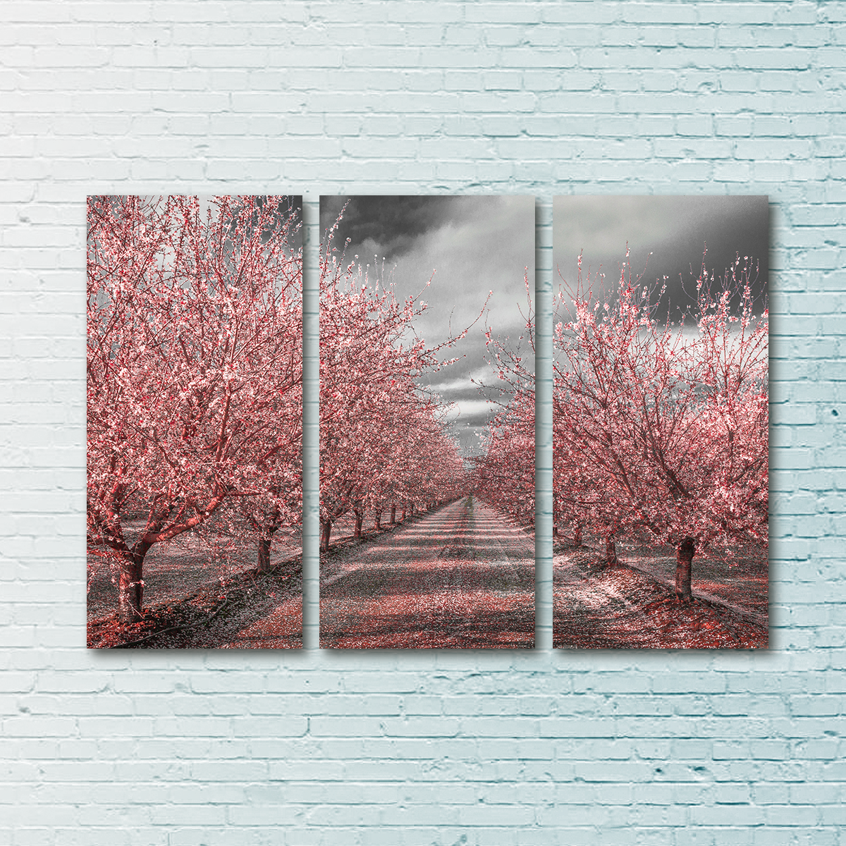 Stunning California Pink Blossoms Wall Art for Your Home Decor