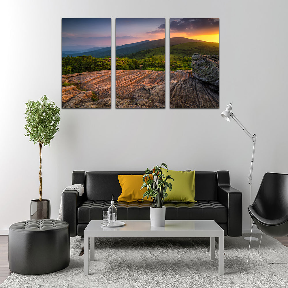 Stunning Appalachian Trail Roan Mountain State Park Wall Art for Your Home Decor