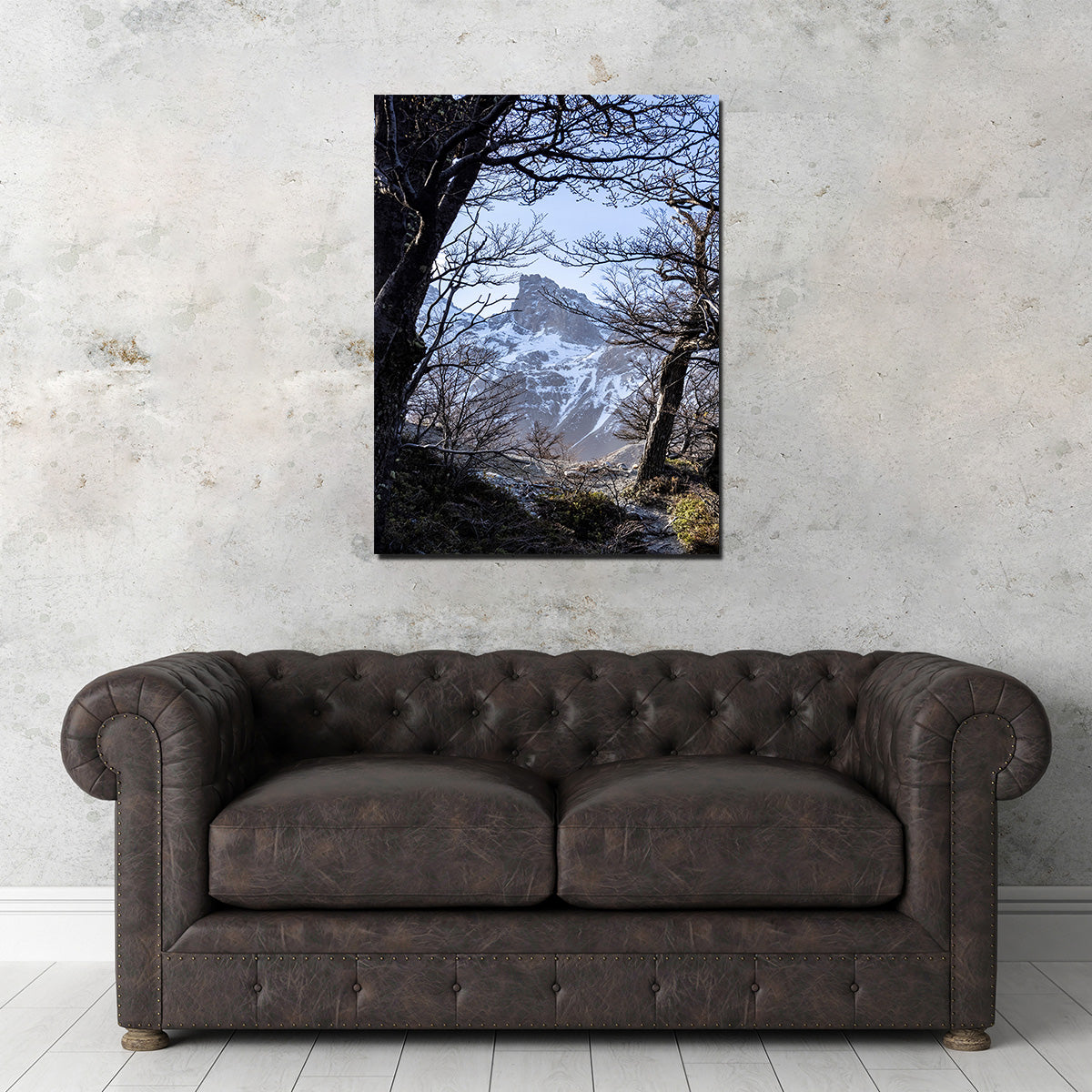 Exquisite Portal to Patagonia Canvas Print by Sofia Leite Fonseca
