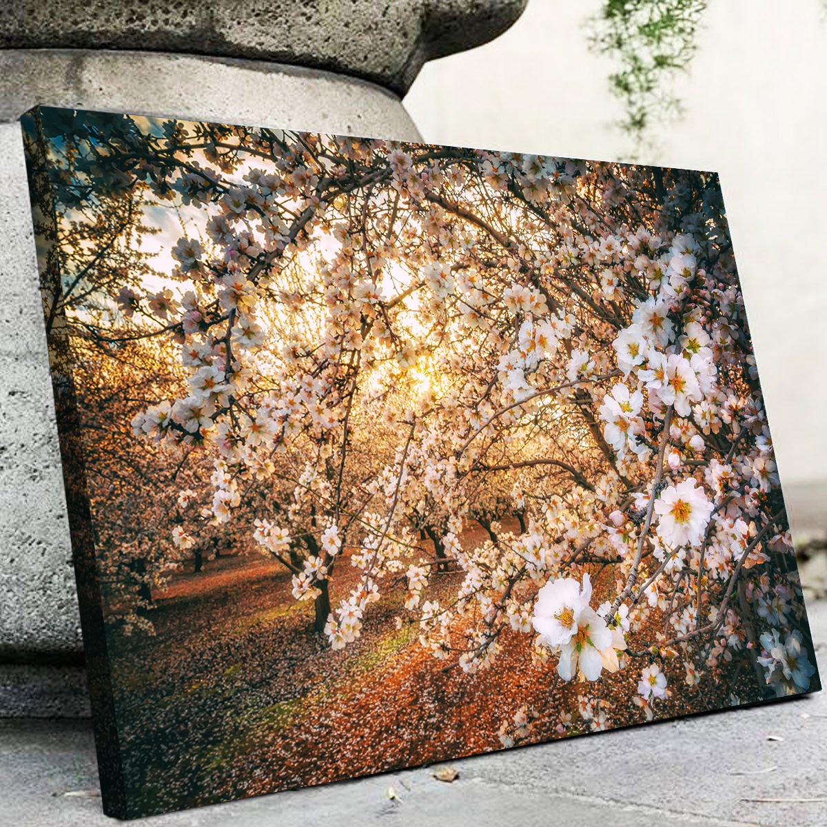 Stunning California Blossom Trail Wall Art for Your Home Decor