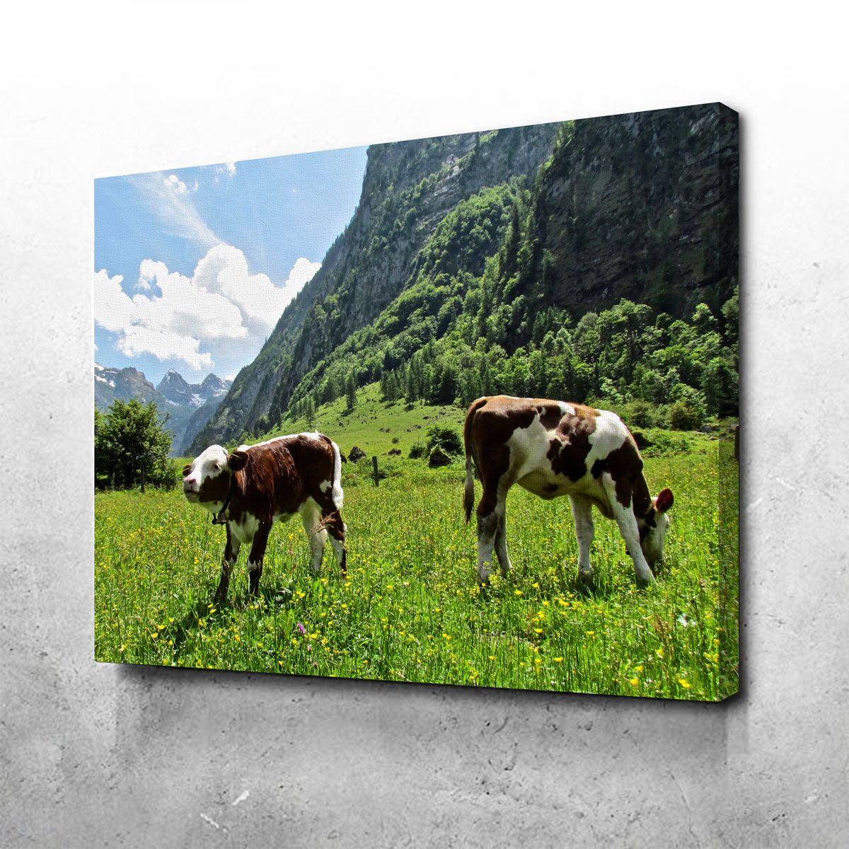 Stunning Alpine Calf Wall Art by David Campbell