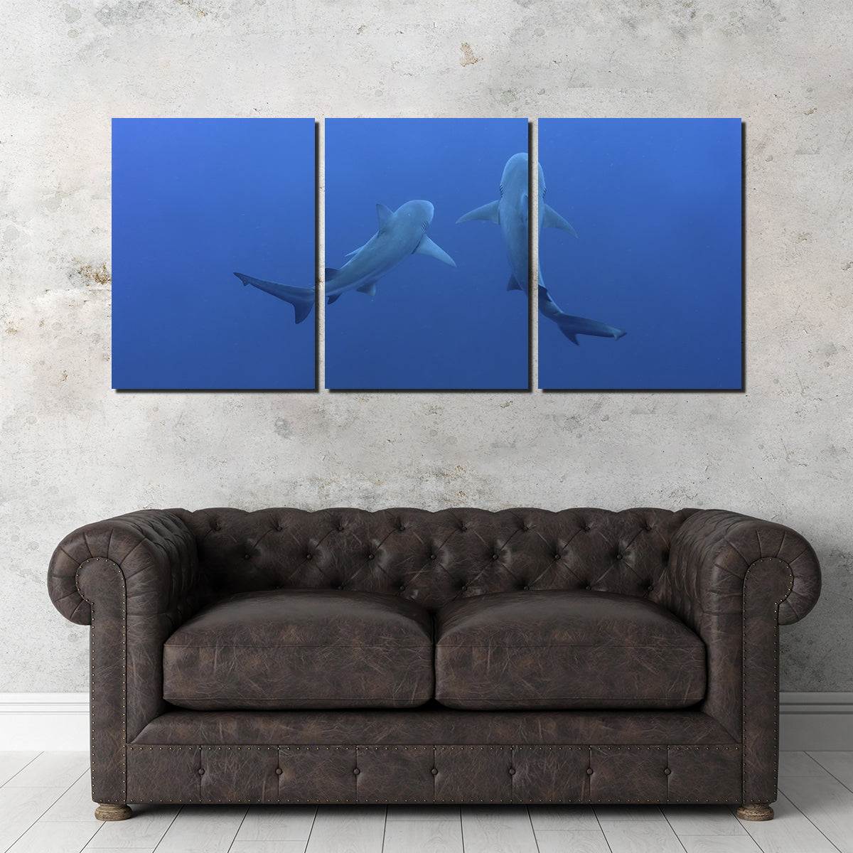 Stunning Shark Mates Wall Art - Museum Quality Decor