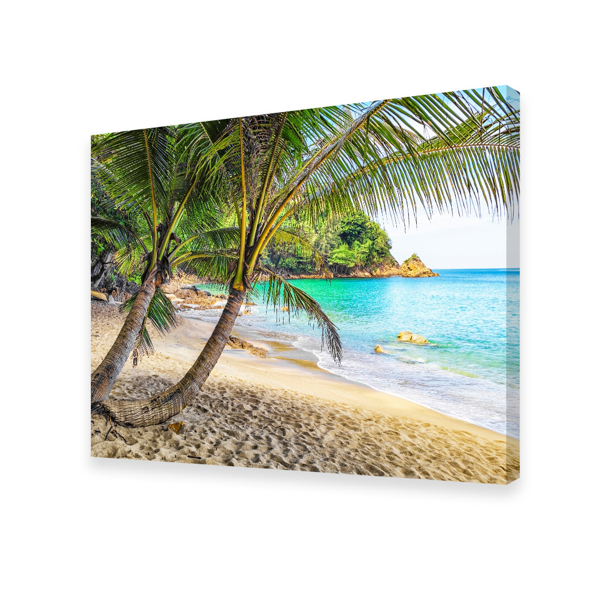 Exquisite Banana Beach Wall Art by Manjik Pictures