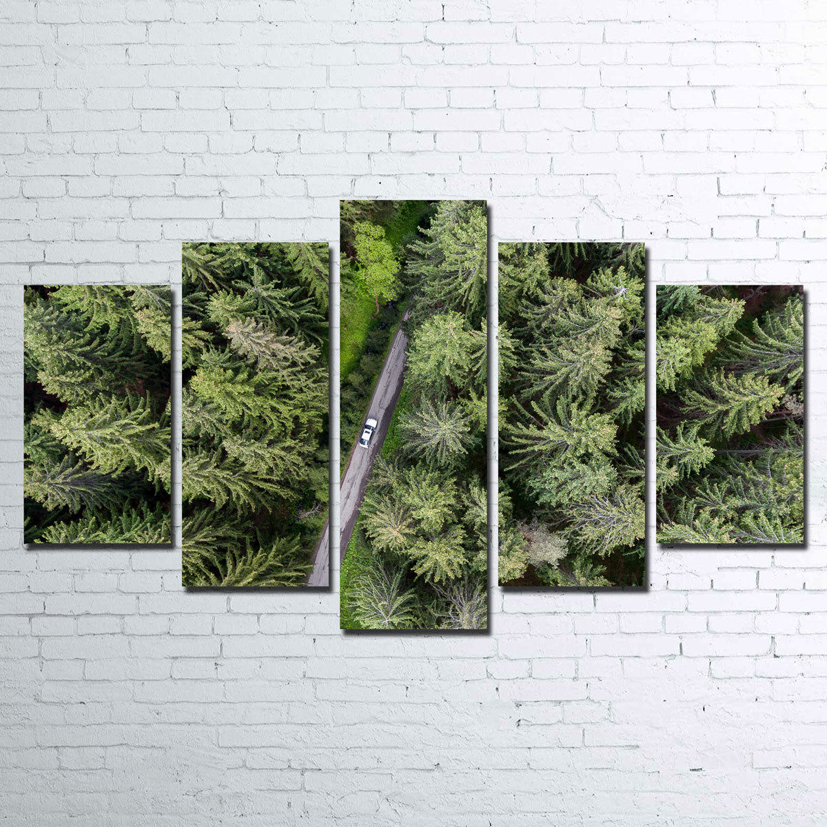Stunning Hidden Road Wall Art by Karolis Janulis