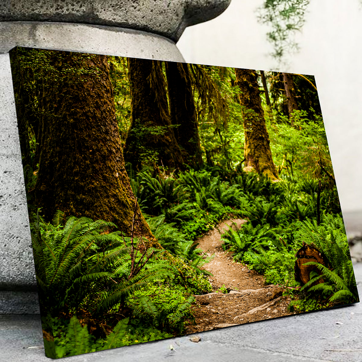 Stunning Hoh Rainforest Wall Art by Kyle Sherry