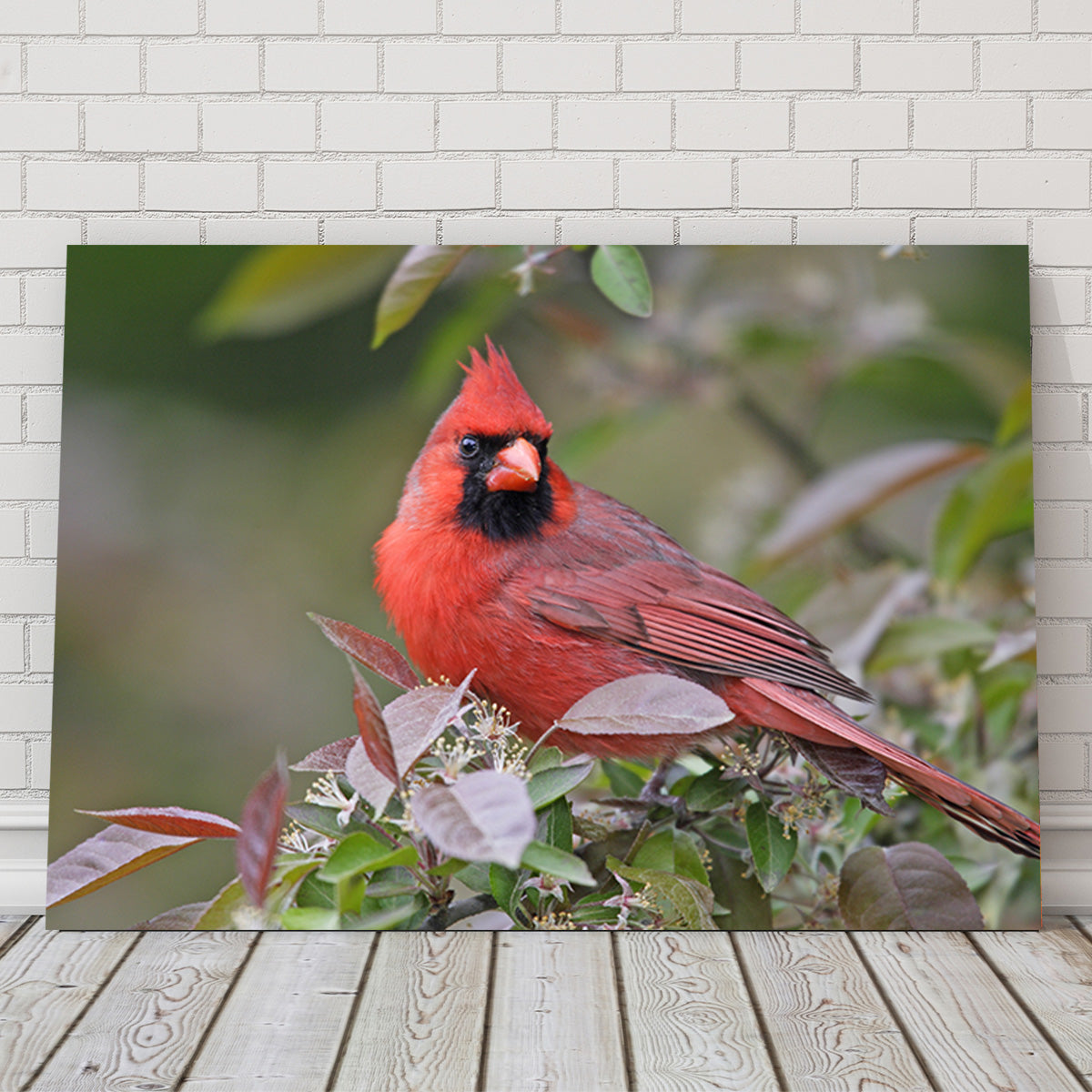 Exquisite Cardinal Perched Wall Art for Home Decor