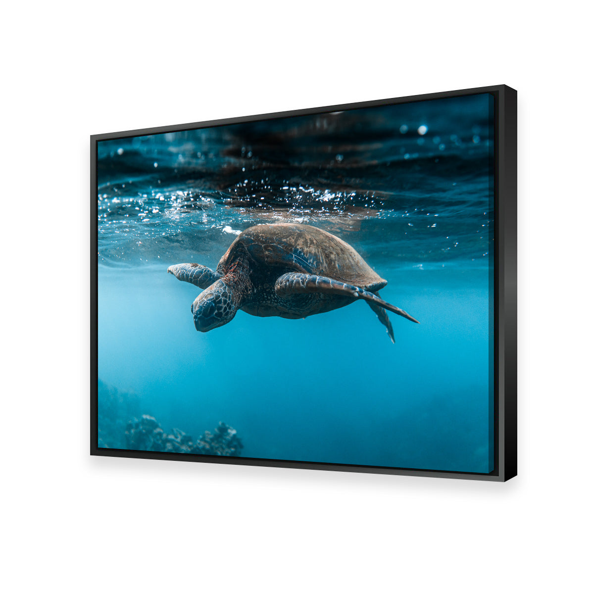 Exquisite Below the Surface Wall Art by Lucas Moore