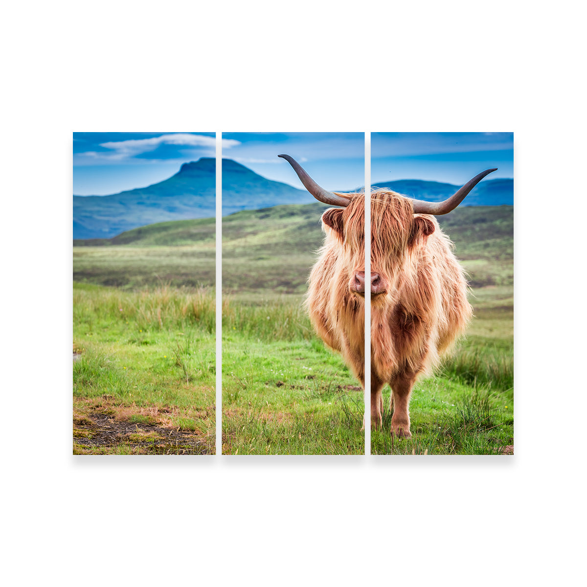 Charming Highland Cow in Isle of Skye Wall Art for Stunning Decor