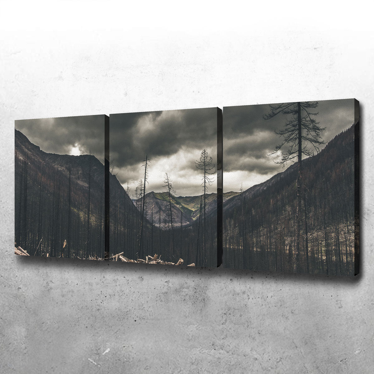 Stunning Ash and Clouds Wall Art by Mike Cotton