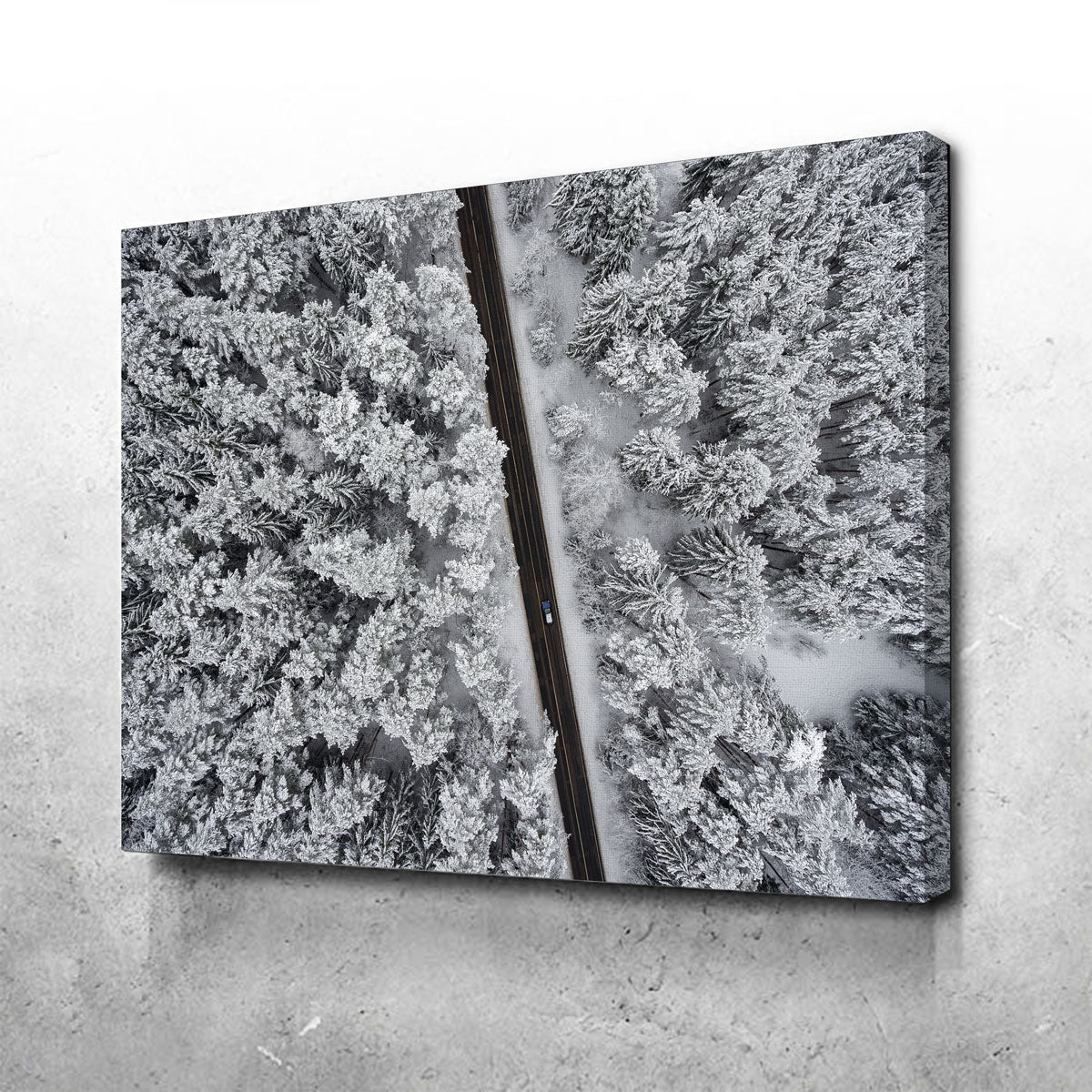 Exquisite Snowy Road Wall Art by Karolis Janulis
