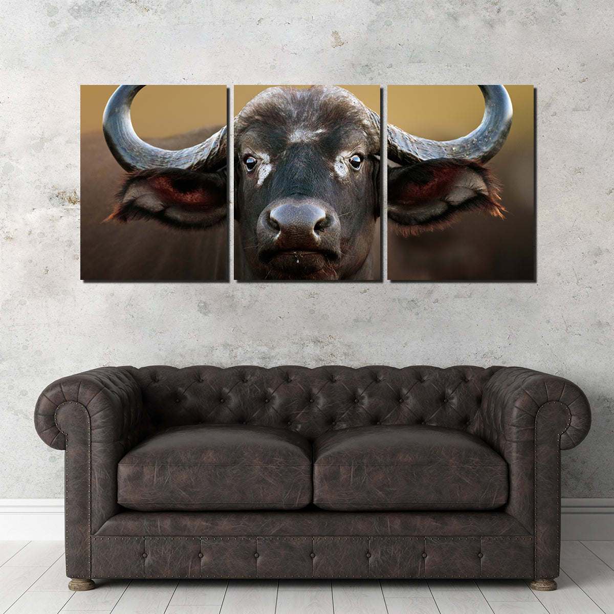 Stunning Cape Buffalo Wall Art from Kruger National Park