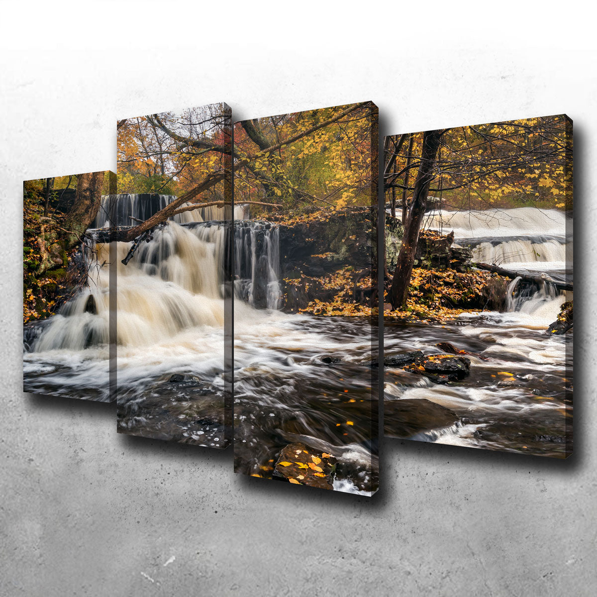 Eye - Catching Double Wall Art by Shaun Mayer