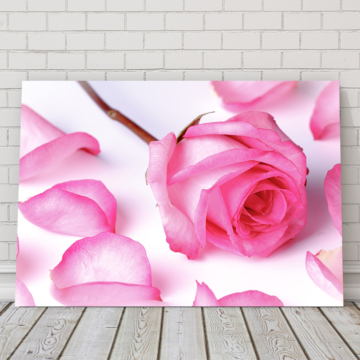 Gorgeous Pink Rose Petals for Decoration