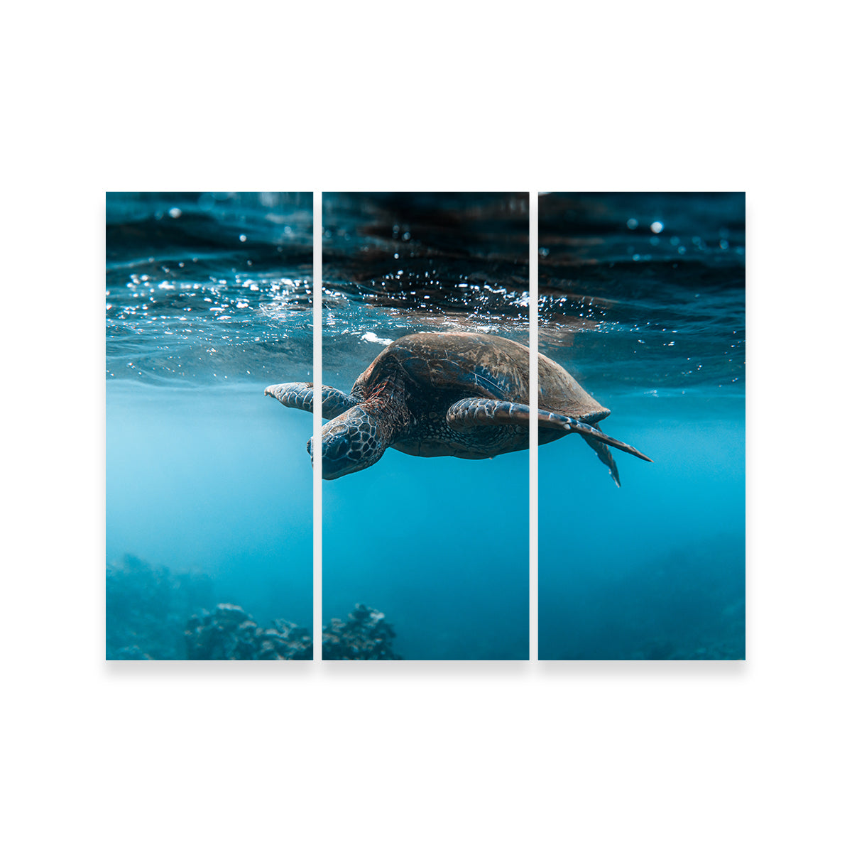 Exquisite Below the Surface Wall Art by Lucas Moore
