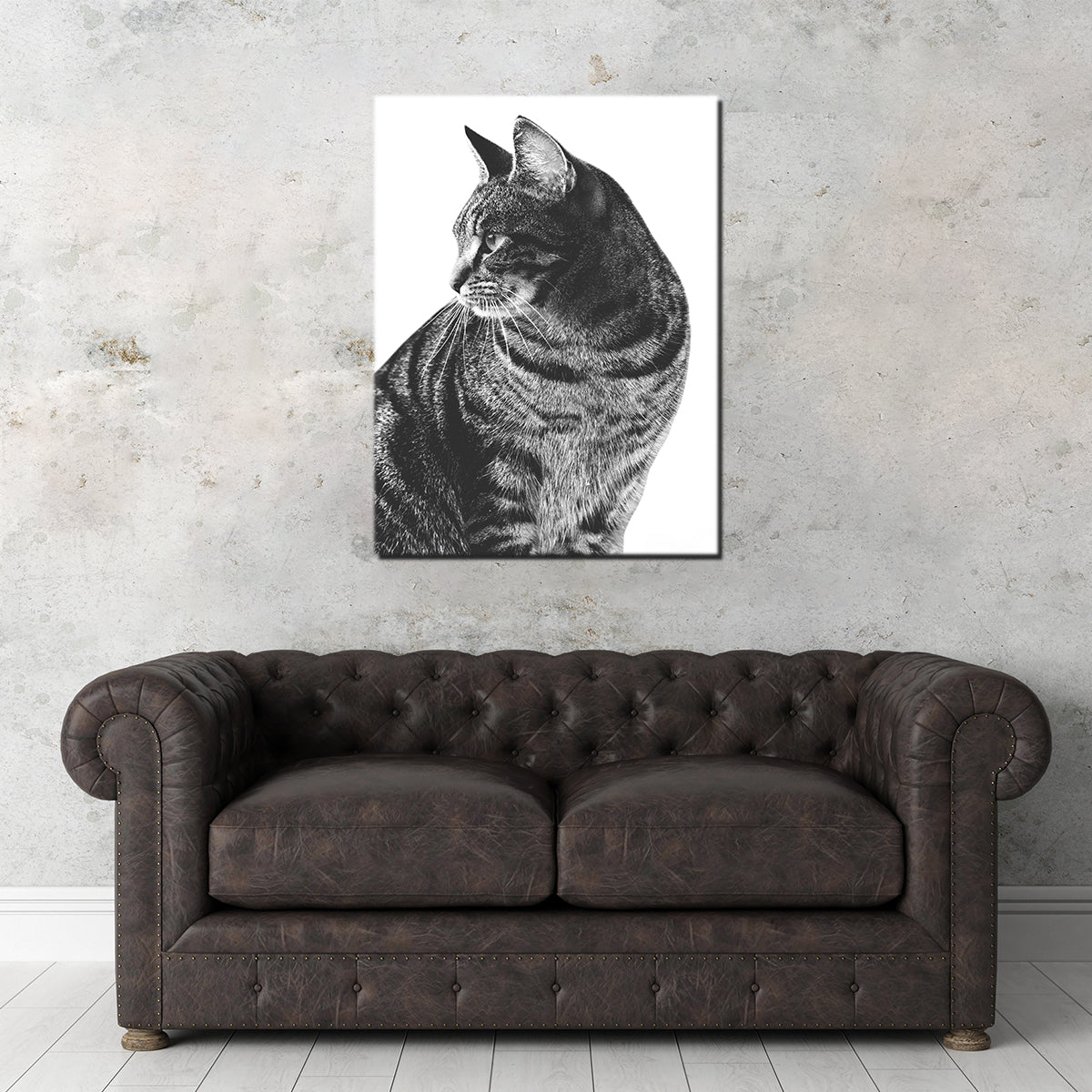 Stunning Cat Glance Wall Art by Lawisi