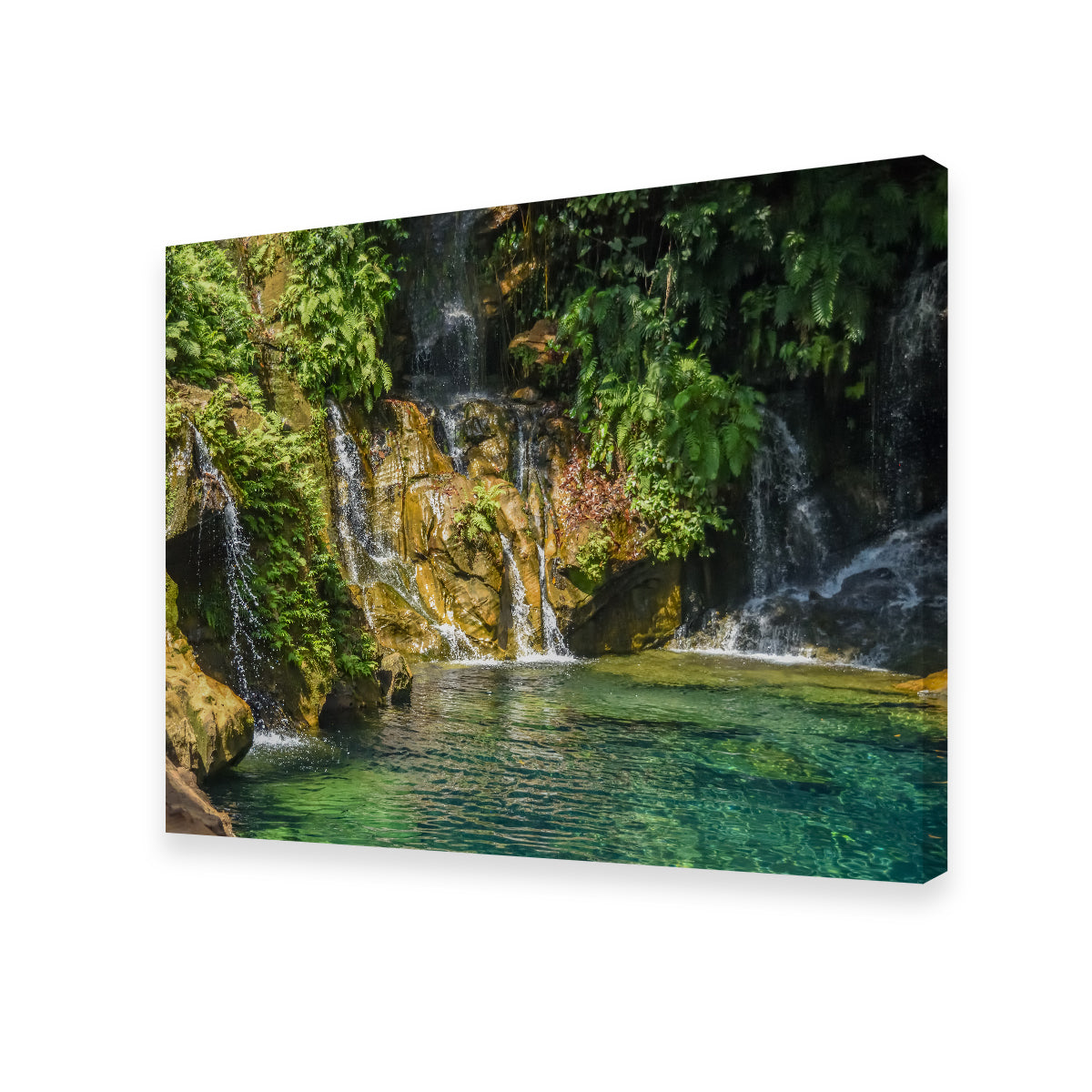 Heaven on Earth Wall Art by Sofia Leite Fonseca - Museum Quality Canvas Art