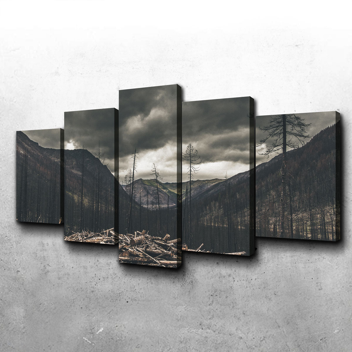 Stunning Ash and Clouds Wall Art by Mike Cotton