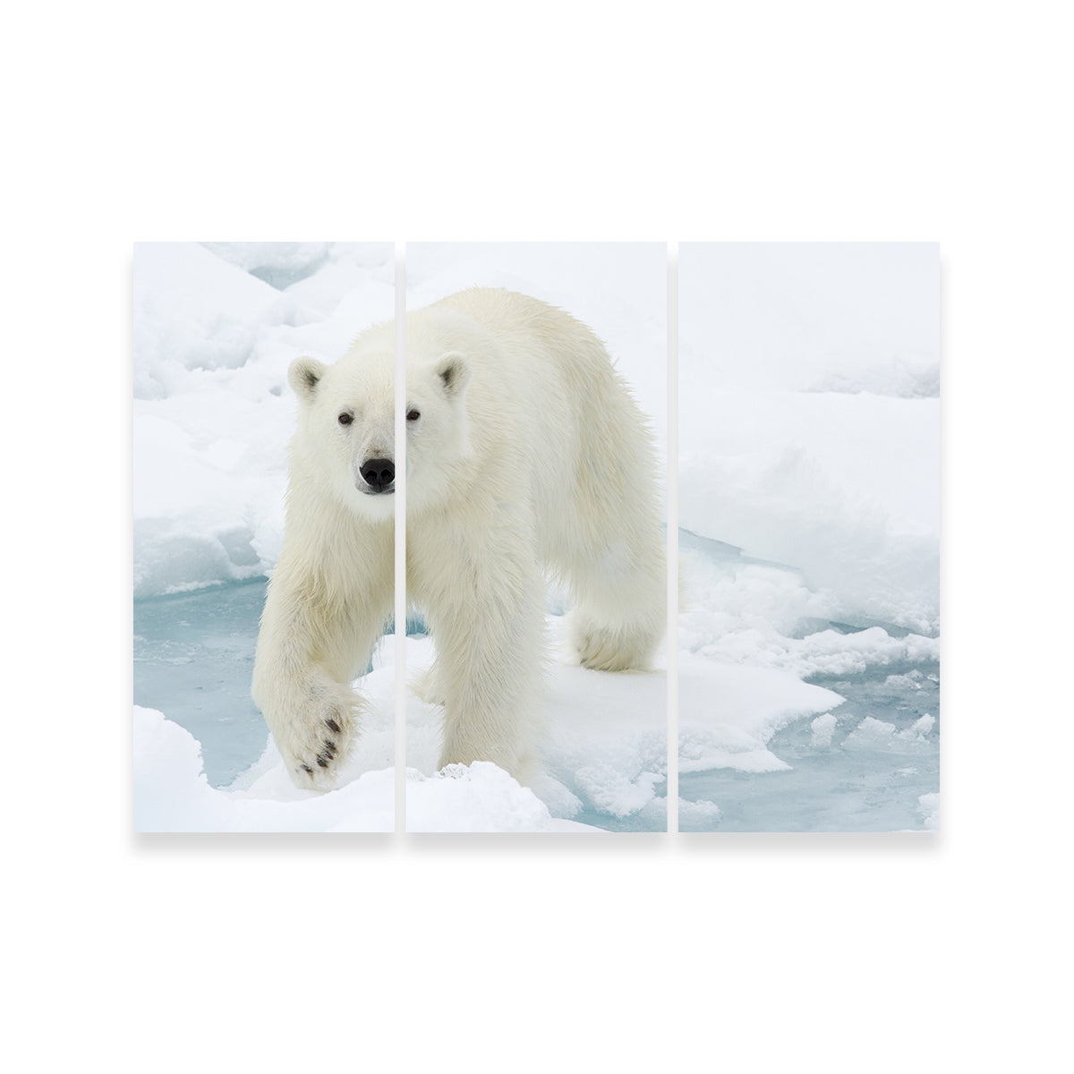 Exquisite Polar Bear Wall Art for Stunning Home Decor