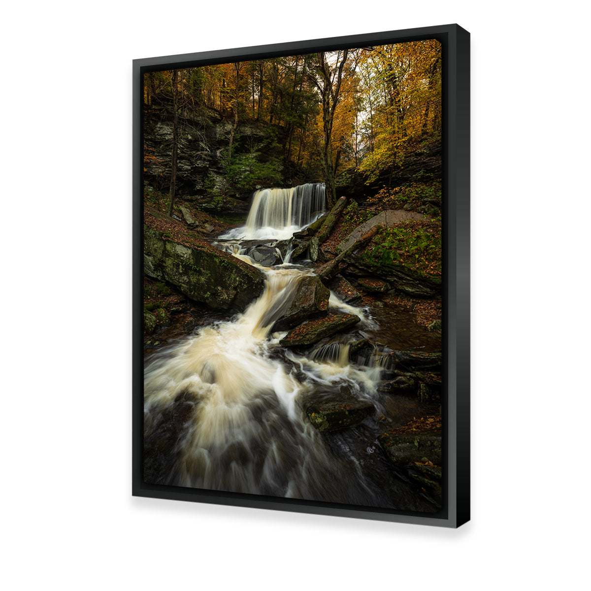 Serenity Now Premium Wall Art by Dennis Maida