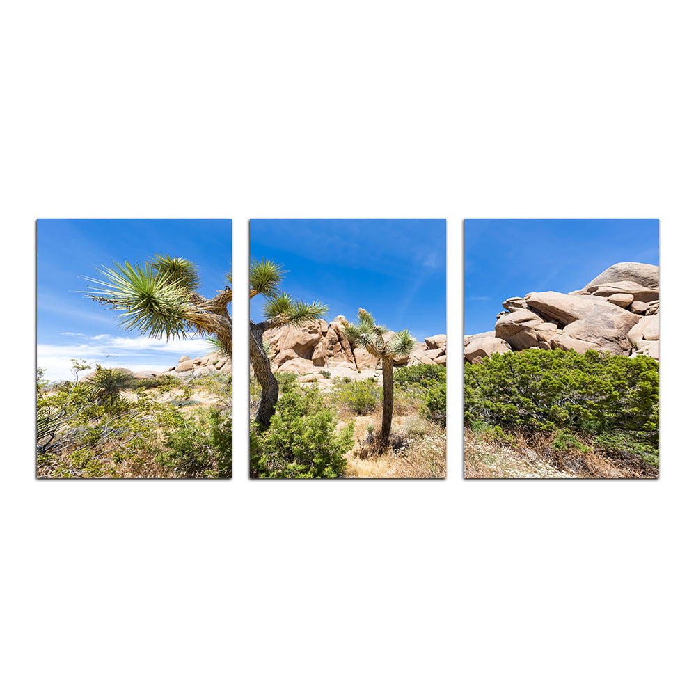 Stunning Impression from Joshua Tree National Park Wall Art for Your Home Decor