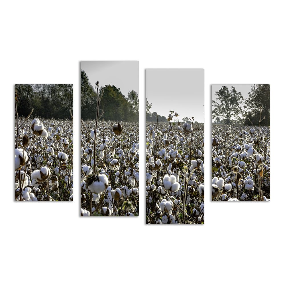 Stunning Alabama Cotton Field Wall Art for Your Home Decor