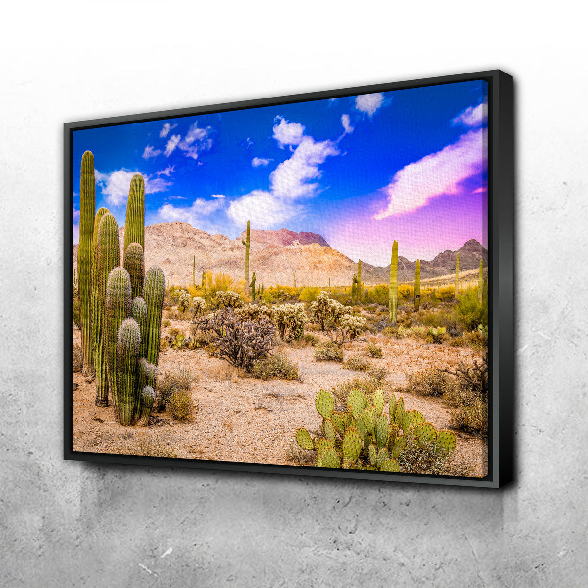 Gorgeous Arizona Desert Springtime Wall Art for Stunning Home Decor