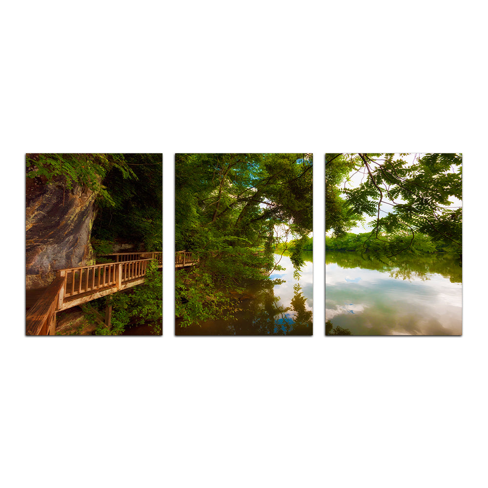 Stunning Ijam Nature Park Boardwalk Wall Art for Home Decor