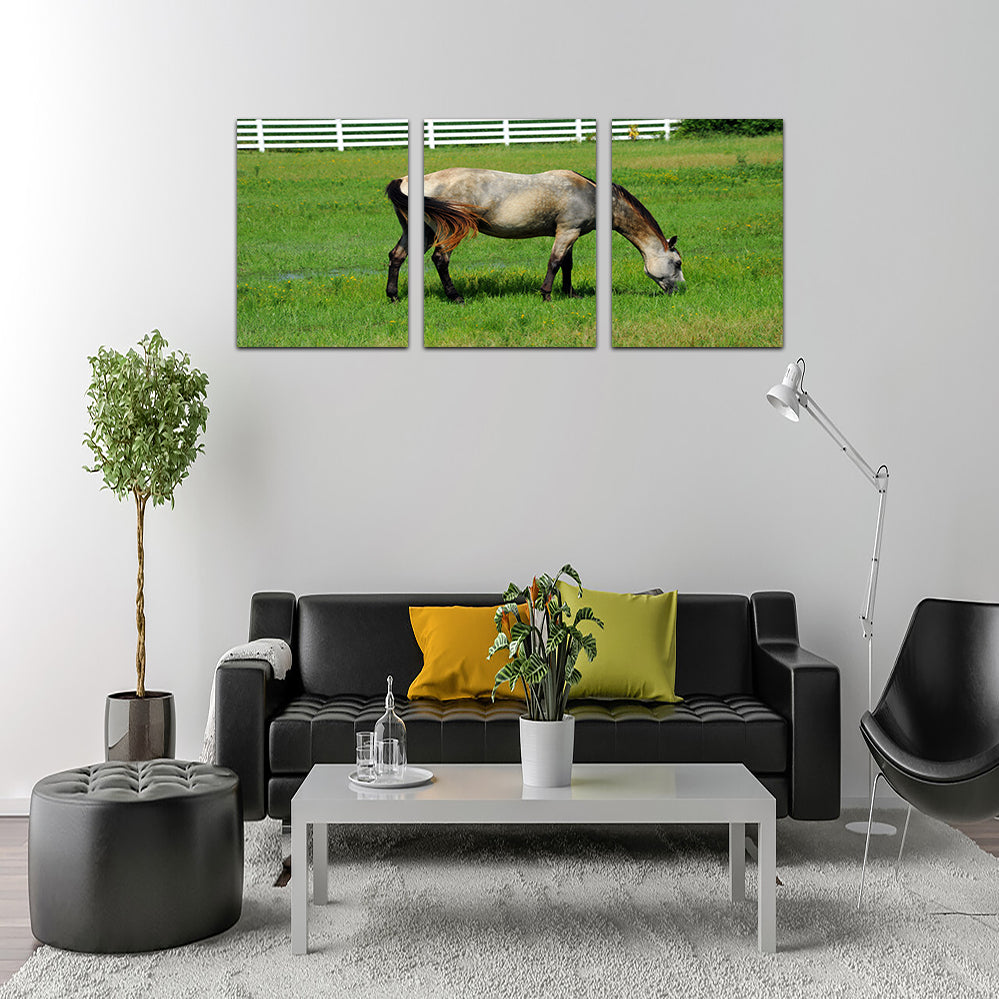 Stunning Arkansas Horse Grazing Wall Art for Home Decor