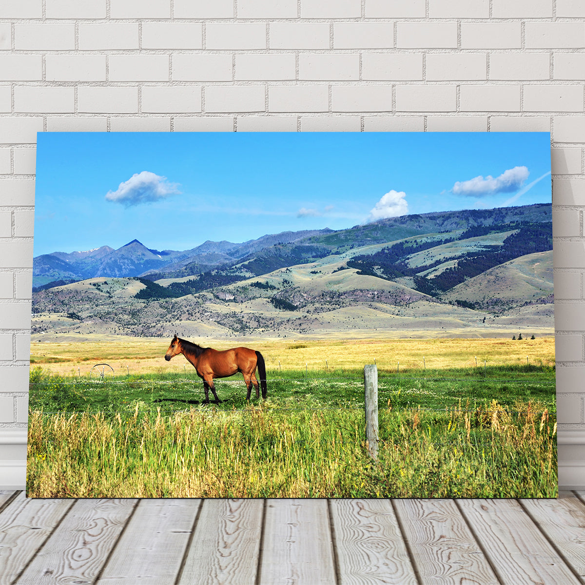 Exquisite Horse Grazing in Paradise Valley Wall Art for Home Decor